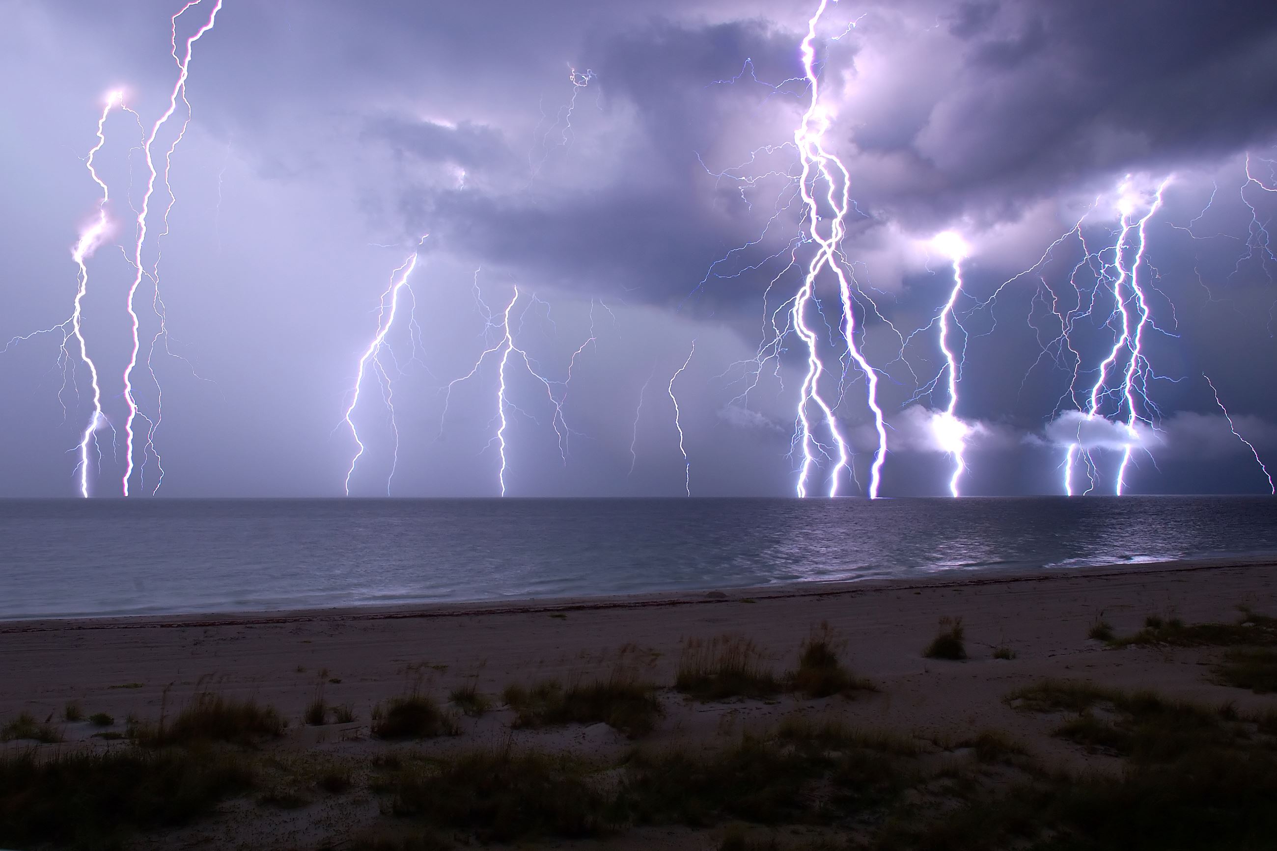 0a82e5bb-6b68-47f4-a610-26dc92f21248