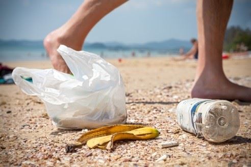 Education and Beach Clean-up