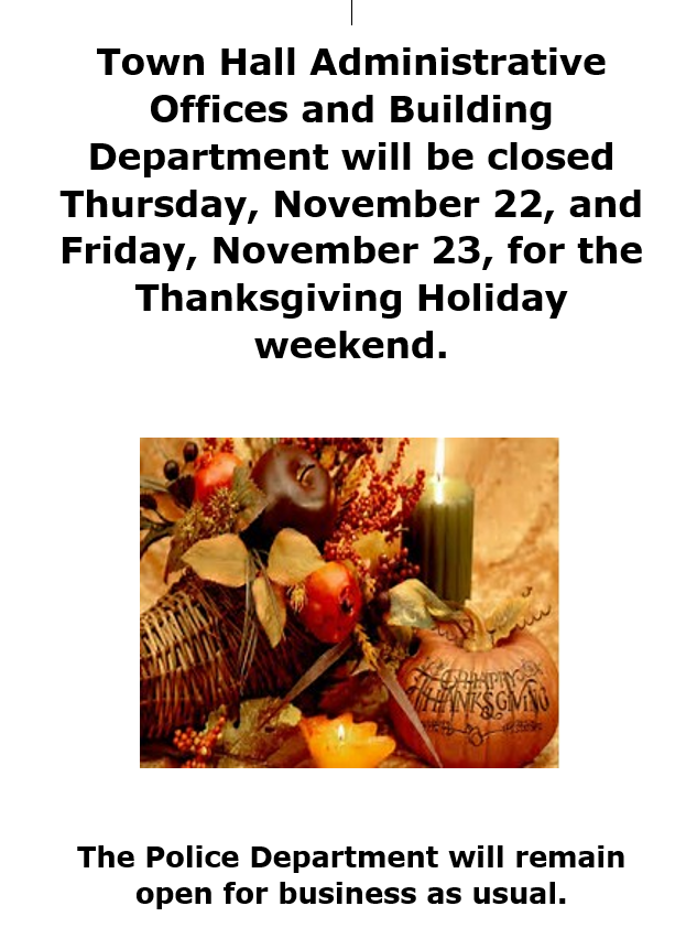 Thanksgiving Holiday Flyer