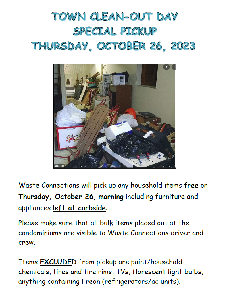 Town Clean Out Flyer