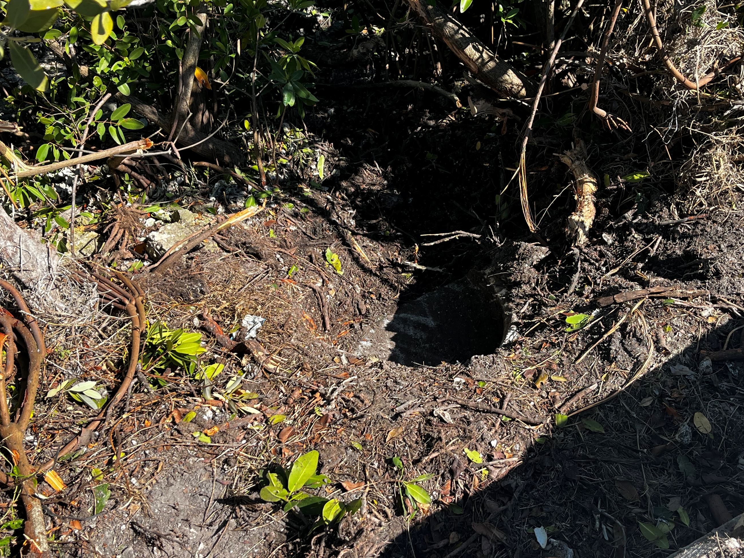 Retention Pond Maintenance Photo